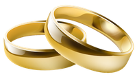 wedding-ring-png-clipart-0407a748da79dcc4